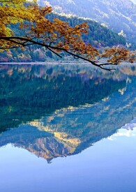 修仙家族不能飘