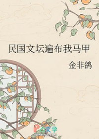民国文坛遍布我马甲