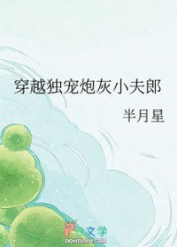 穿越独宠炮灰小夫郎
