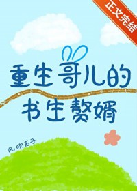 重生哥儿的书生赘婿