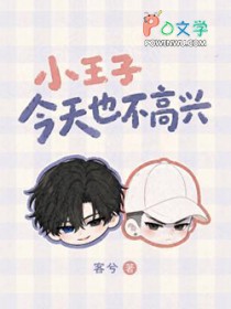 小王子今天也不高兴