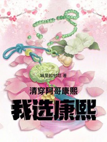 清穿:阿哥,康熙,我选康熙